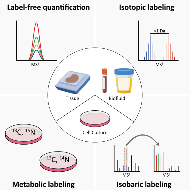 RSC-ChemBio Review Image